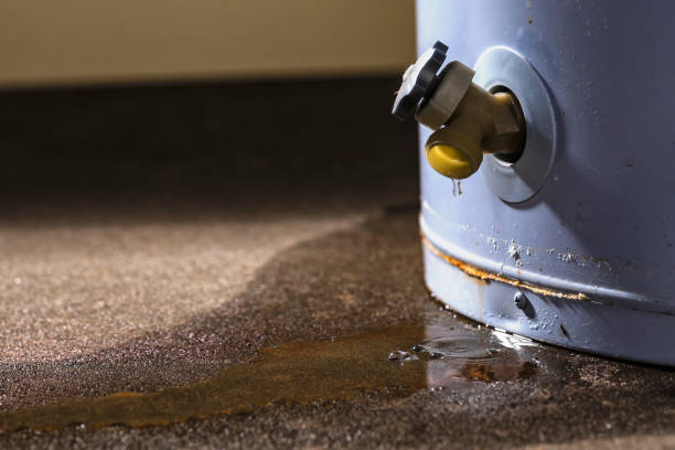 Best 24-hour water damage restoration  in Mcswain, CA