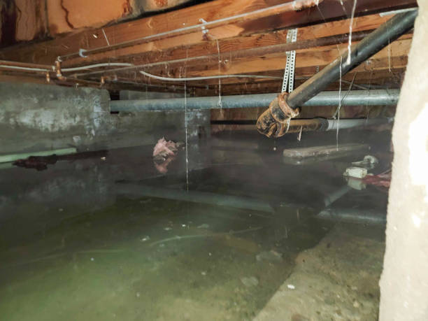Trusted CA Water damage restoration Experts