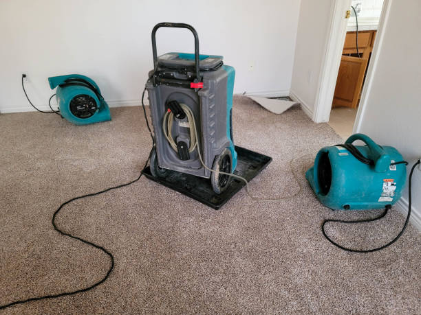 Best Flooded house restoration  in Mcswain, CA