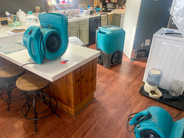 Best 24-hour water damage restoration  in Mcswain, CA