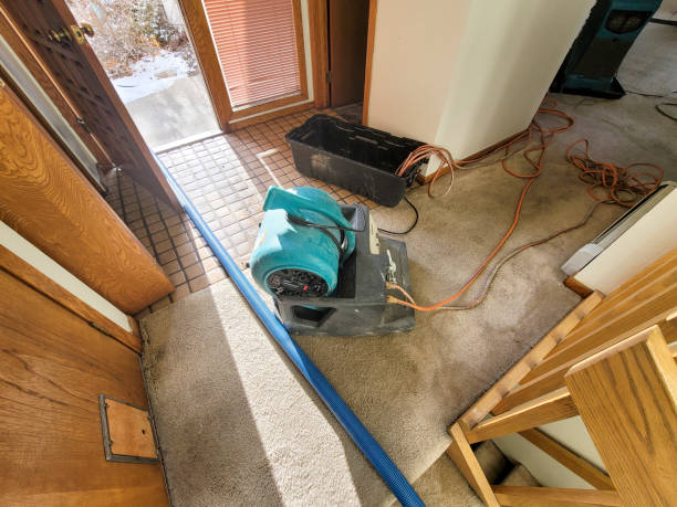 Best 24/7 water damage repair  in Mcswain, CA