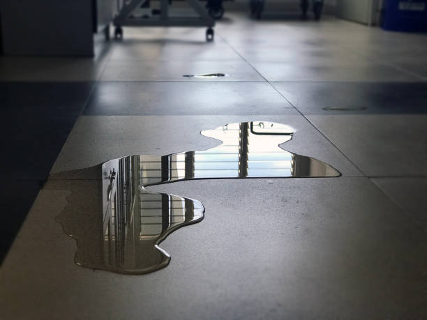 Best Water damage cleanup near me  in Mcswain, CA