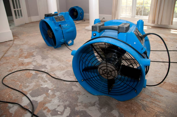 Best Local water damage restoration  in Mcswain, CA