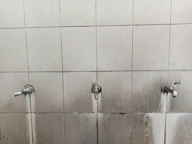 Best Professional water damage repair  in Mcswain, CA