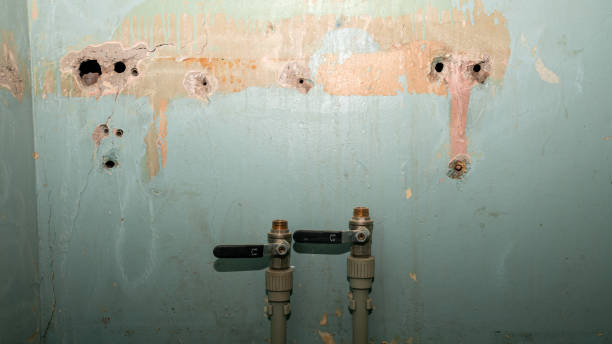 Best Local water damage restoration  in Mcswain, CA