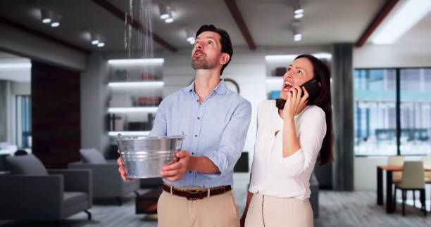 Best Flooded house restoration  in Mcswain, CA